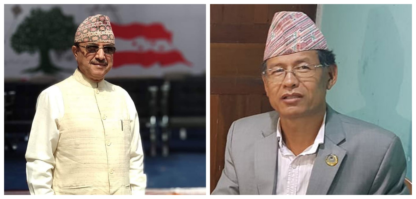 कांग्रेस उपसभापतिमा पूर्णबहादुर खड्का र धनराज गुरुङ निर्वाचित